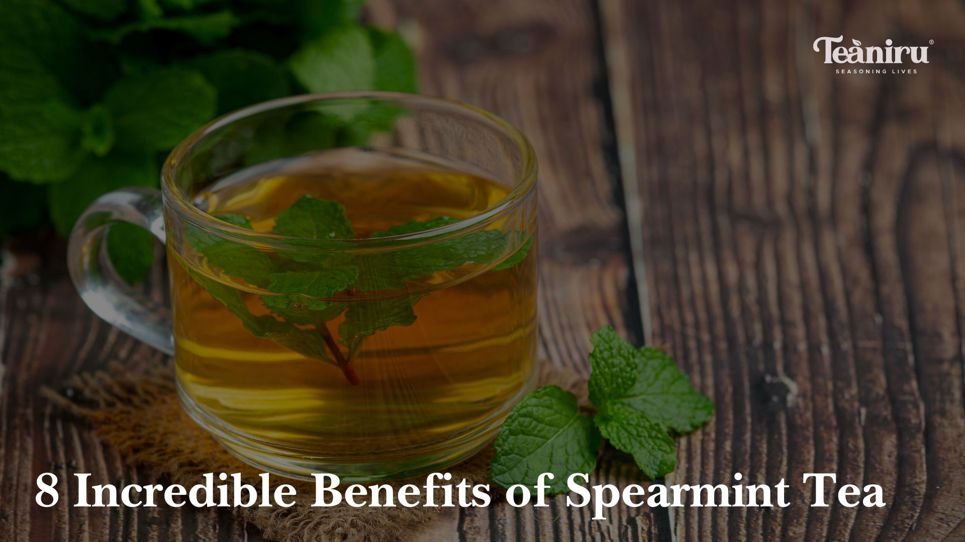 Benefits of Spearmint Tea