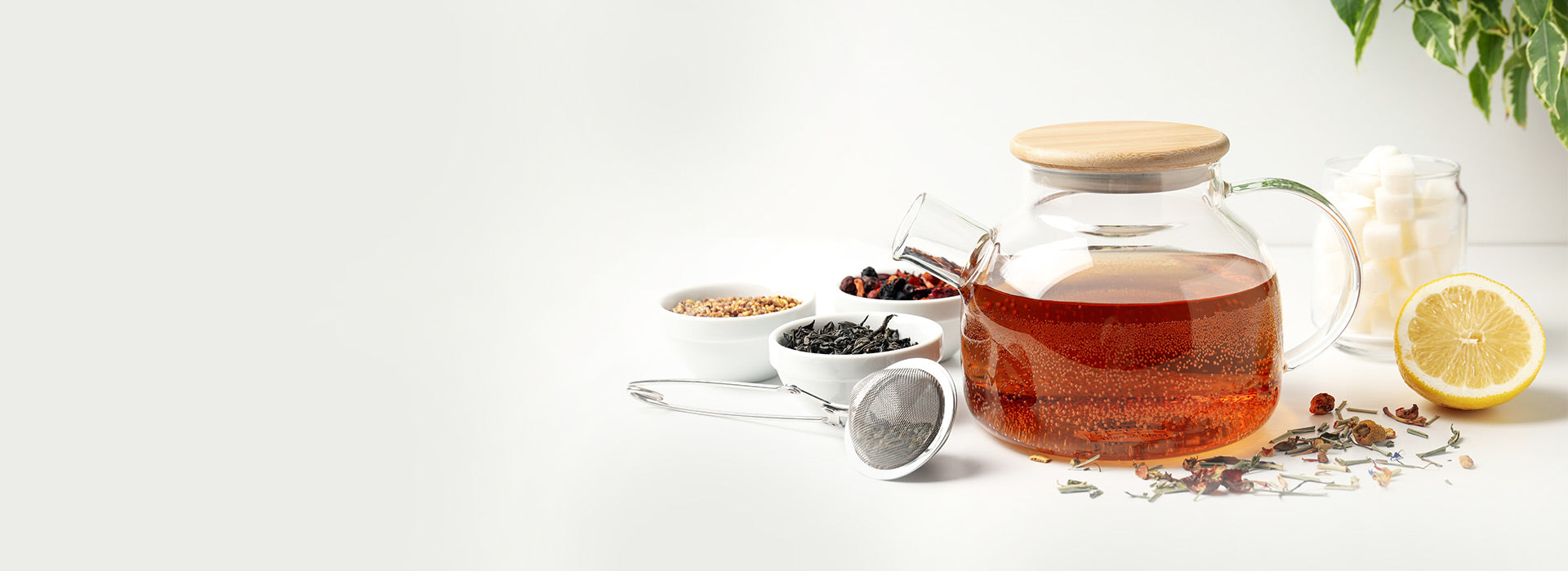 Teaniru India | Online Tea Store | Buy Premium Tea